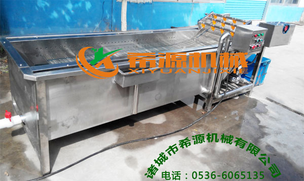 葉菜類氣泡清洗機(jī)