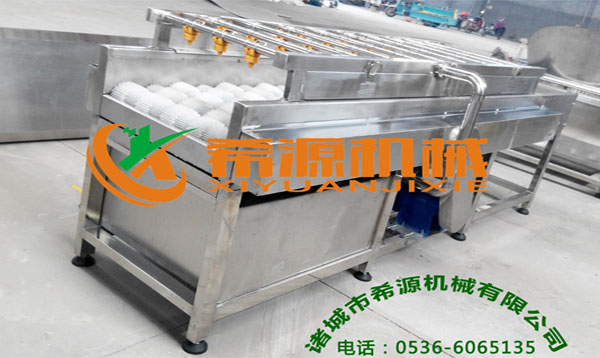 根莖類毛刷清洗機(jī)